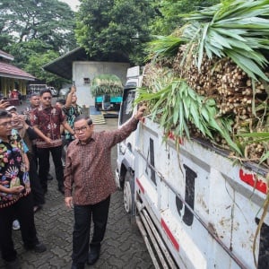 Pramono Anung Tinjau Ragunan Usai Viral Harimau Kurus