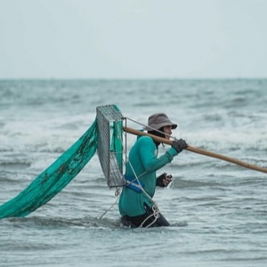 Nelayan di Toli-Toli Sulit Jangkau Ikan Bernilai Tinggi, Bisakah Rumpon Portabel Jadi Solusi?