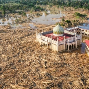 Usai Banjir Bandang, Lautan Gelondongan Kayu Penuhi Aceh Tamiang