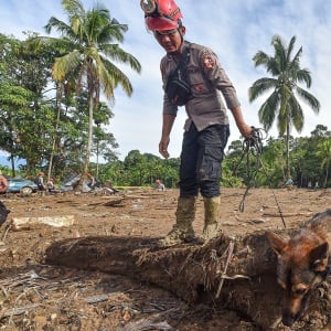 Unit K-9 Polri Jadi Andalan di Medan Sulit Pencarian Korban Banjir Agam