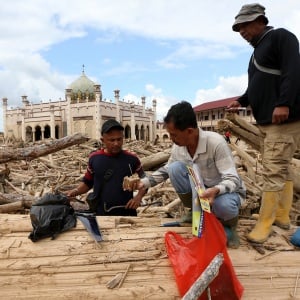 Kemenhut Mulai Verifikasi Kayu Gelondongan Bencana Sumatera
