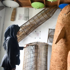 Melihat Destinasi Wisata Konservasi Pesut Mahakam di Kaltim