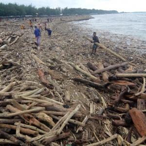 Pascabanjir Bandang Gunung Slamet, Pantai Utara Tegal Dipenuhi Kayu