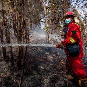 Upaya Pemadaman Karhutla di Batam