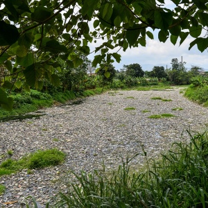 Setahun Usai Dibersihkan, Sungai Citarum Kembali Dipenuhi Sampah