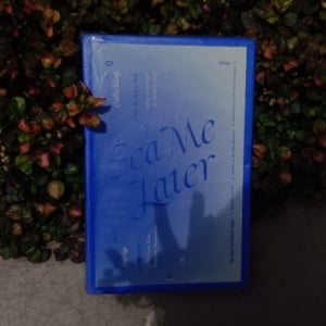 Ketika Ayah Jadi Trauma Terbesar Anak Perempuan, Ironi di Buku Sea Me Later