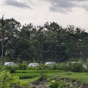 Hindari Macet JogjaSolo, Ratusan Pemudik Pilih Jalur Sawah di Purwomartani Menuju Tol