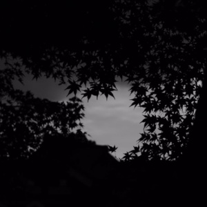 Pocong Berkain Putih Bersih di Rumpun Bambu Belakang Rumah Paklek Randi