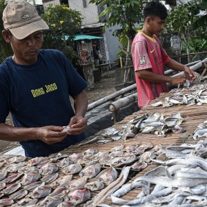 Viral Ikan Asin Disemprot Baygon, Alumni Perikanan Unhas Tawarkan Solusi Aman