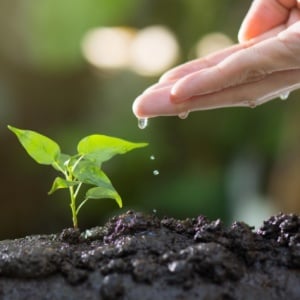 Mengapa AC Kerap Jadi Solusi Ketimbang Menanam Pohon atas Panasnya Cuaca?