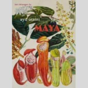 Ulasan Novel Maya, Pencarian Hakikat Ketuhanan di Kaki Gunung Merapi