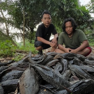 Suara dari Sungai Ciliwung: Ketika Warga Menggantikan Peran Negara