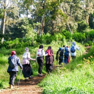 Menaklukkan Gunung Malabar: Dari Sabana Indah hingga Tanjakan Mematikan
