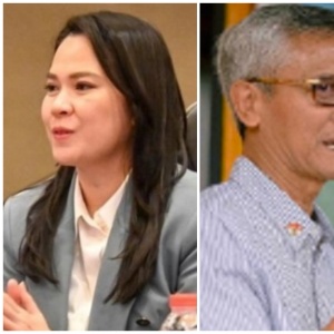 Dari Elit BUMN ke Viral di Tikungan Maut, Siapa 3 Komisaris Pusri? Ada Arteria Dahlan