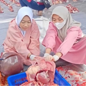 Cara Pemkot Malang Menyisir Penyakit di Balik Daging Kurban 2026