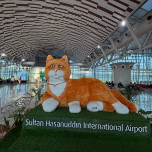 Mengapa Kucing British Jadi Ikon Bandara Sultan Hasanuddin? Ini Penjelasan Angkasa Pura