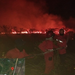 Api Melalap 10 Hektare Lahan di Dekat Tol Palindra, Manggala Agni Turun hingga Dini Hari