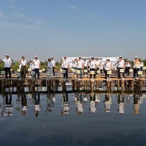 Rehabilitasi Mangrove Berkelanjutan, 21.060 Bibit Ditanam di Pesisir Jakarta