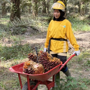 Bea Cukai Ungkap Penerimaan Negara dari Ekspor Sawit Pangkalan Bun Tembus Rp 1,74 Triliun