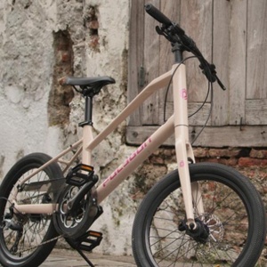 Apa Itu Mini Velo? Ini 4 Rekomendasi Sepeda Paling Bagus dan Awet untuk Bike To Work