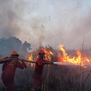 Karhutla Meluas di Ogan Ilir, Petugas Berjibaku Cegah Api Membesar