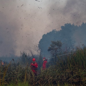 Karhutla Sumsel Belum Terkendali, 8 Lokasi Masih Terbakar, Air Makin Menipis
