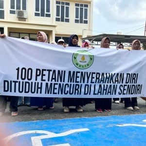 100 Petani Sidomulyo Muba Serahkan Diri, Bela 4 Warga yang Dituduh Mencuri di Kebun Sendiri