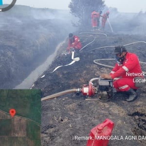 Program Cetak Sawah Berhadapan dengan Karhutla, Api Membakar Lahan di Muara Enim