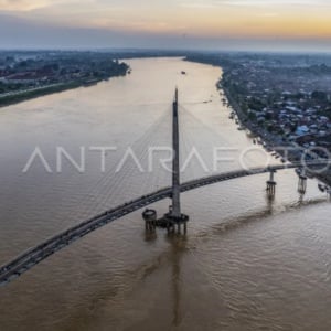 Ikan Sungai Batanghari Makin Hilang, dari 300 Spesies Kini Tinggal 135