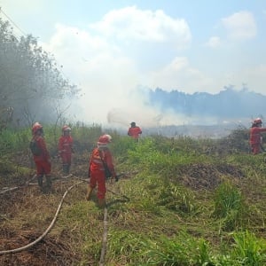 Karhutla Dekati Runway Bandara Atung Bungsu, Penerbangan Pagar Alam Masih Normal?