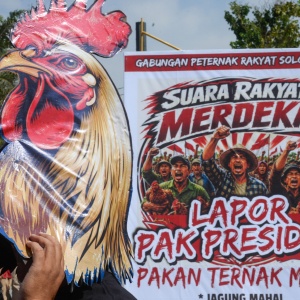 Aksi Damai Para Peternak Ayam di Berbagai Daerah