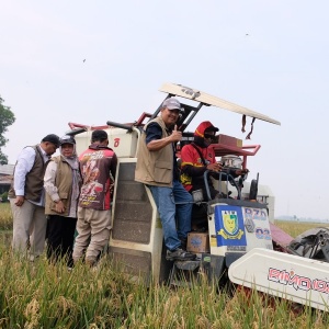 Stok Beras Bulog Capai 5,25 Juta Ton, Tersebar di Berbagai Gudang Indonesia