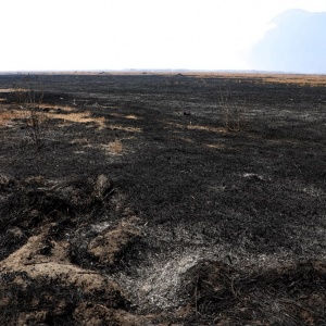 10 Hari Bromo Membara, BNPB Ungkap 3 Biang Kerok Api Sulit Jinak: Medan Curam 80 Derajat