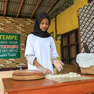 Perkuat Ekonomi Desa, BRI Peduli Dampingi UMKM melalui Program Desa Brilian