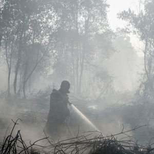 Kabut Asap, Dinas Kesehatan Riau Siapkan 18 Ribu Masker untuk Pelalawan