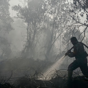 Ekonom Ungkap Efek Domino Karhutla: Dari Biaya Berobat hingga Pendapatan Warga Tertekan