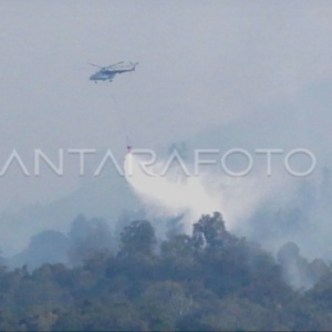 Water Bombing Rp100 Juta per Jam, Kalau Api di Konsesi Perusahaan Siapa yang Bayar?