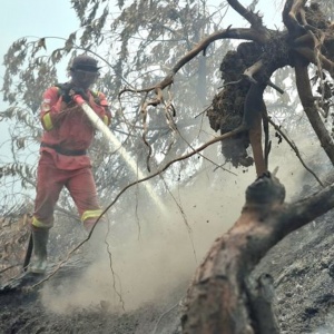 Manggala Agni Terus Padamkan Karhutla di Tiga Wilayah Riau