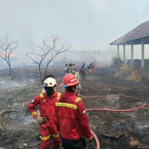 Api Meluas di Perkebunan Makaeling, ERT Gosowong Bergerak Bantu Pemadaman