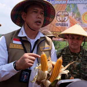 Program SPHP, Bulog Siap Salurkan 150 Ribu Ton SPHP Jagung hingga Akhir 2026