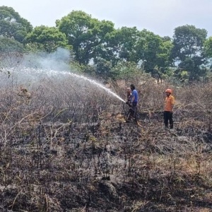Awas! Lima Titik Karhutla di Cianjur Terjadi Hampir Bersamaan