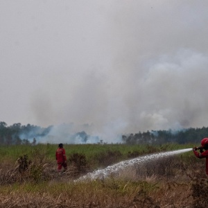 Warga OKI Ditemukan Meninggal di Tengah Karhutla, Diduga Terjebak Asap dan Api
