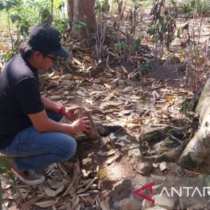 Dua Yoni Situs Pocangan Jember Hilang, DPRD Desak Perlindungan Cagar Budaya Diperkuat