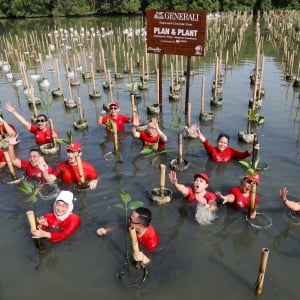 Program 1 Polis 1 Mangrove Generali Tembus 20.000 Pohon