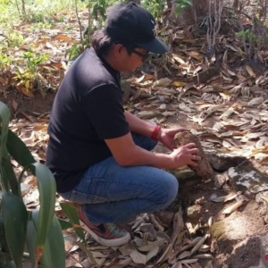 Dua Batu Yoni Keramat di Jember Raib Dijarah Maling, Anggota DPRD Lapor Polisi