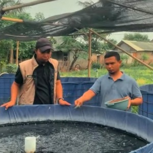 Manfaatkan Potensi Lokal, Kelompok Ternak APTUR Kembangkan Usaha Perikanan dan Peternakan