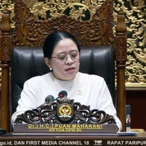 9 Orang Gugur saat Padamkan Karhutla, Puan Desak Negara Jamin Keselamatan Petugas dan Relawan