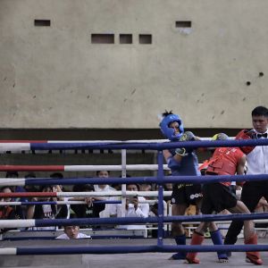 Mantab! Tiga Atlet Muaythai Solo Tembus Semifinal Porprov 2026