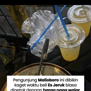 Es Jeruk di Malioboro Rp20 Ribu Viral, Hasto Bakal Turunkan Satpol PP