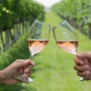 Ada Wine Asli Bali di Balik Pesona Pulau Dewata, Begini Karakter Rasa dari Kebun Tropisnya